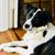 Kathy Spurlock's profile image