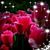 Linda Hollfelder's profile image