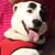 Day-z Carrete's profile image