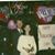 Darinda N Terry Lening's profile image