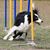 Sheila Walker Ross's profile image