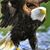 Charles H. Lounsbury's profile image