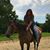 Julie Lipsky-Greatorex's profile image