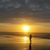 Freddi Ann Cate Wellman's profile image