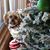 Carol Gronewold's profile image