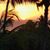 Elaine Deschaine's profile image