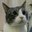Marsha T.'s profile image