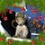 Kelly Roethel's profile image