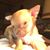 Trish Stephens's profile image