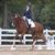 Amy Stuhr Paterson's profile image