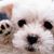 Barbara Zamorano's profile image