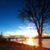 Donna Caudill's profile image