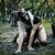 Vanity Welch's profile image