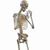 Brenda Price Boyle's profile image