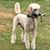 Beth Johnston's profile image