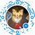Donna Rondeau's profile image