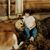 Viki Harkness Tackett's profile image