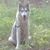 Cristina Avila Leon's profile image
