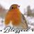 Barbara Ann Spillman Paul's profile image