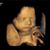 Alanna Johnson's profile image