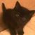 Géza Clayton Gosztola's profile image