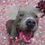 Sheri Lee Shannon's profile image