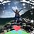 Kim Carey Borrelli's profile image