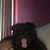 Lelet Char's profile image