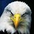 John Eife's profile image