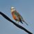 Byerly Woodward's profile image