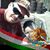 Victor Sarabia's profile image