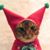 Marcia Ann's profile image