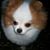 Barbara Barham's profile image