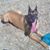 Sue Baker's profile image