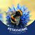 Lorry Bogaars's profile image