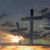 Sondia Burrows's profile image