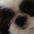 Buffy Balogh's profile image