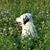 Danette Eibl's profile image