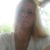 Amanda Wilson's profile image