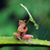 Jackie Capalbo's profile image