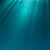 Patricia T. Gardner's profile image