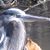 Nhoj Derbliks's profile image