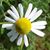 Jody Stafford Sanders's profile image