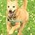 Carla Carr-Scarberry's profile image