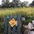 Shari Bullard's profile image