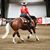 Sandy Corriveau's profile image