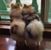 Gary Bridgford's profile image
