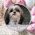 Lori La Roe Green's profile image