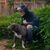Michael Lochner's profile image