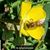 Karen Nester Hall's profile image